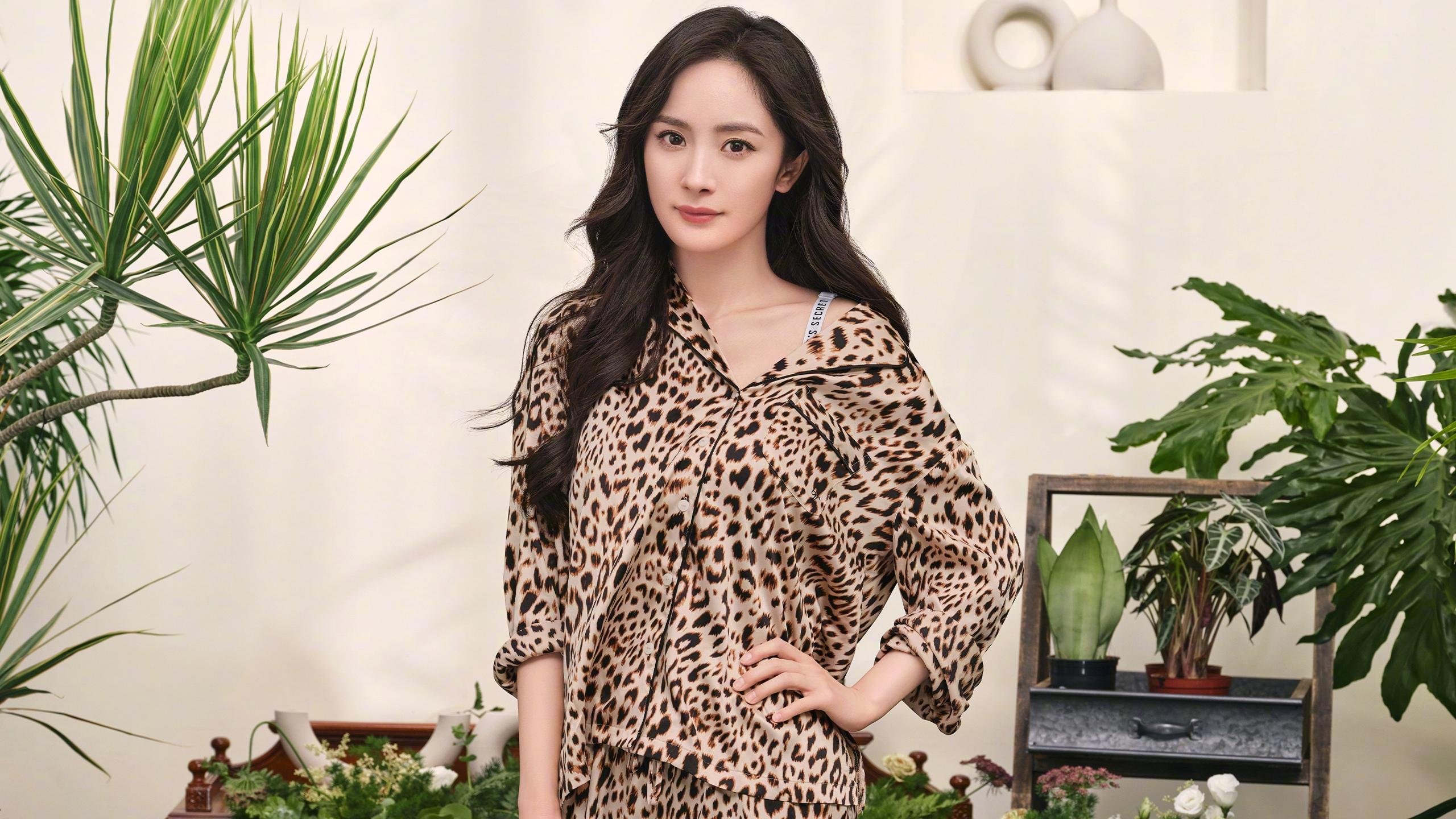 全国篮球争霸赛，群雄逐鹿争夺冠军，cgl全国联赛篮球争霸赛