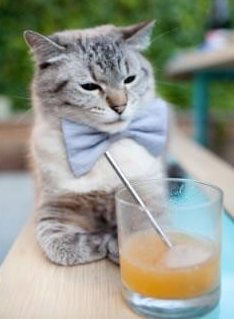 【传感器让投手更精准】科技让投垒比拼成为“数码战场”,投入式传感器使用方法