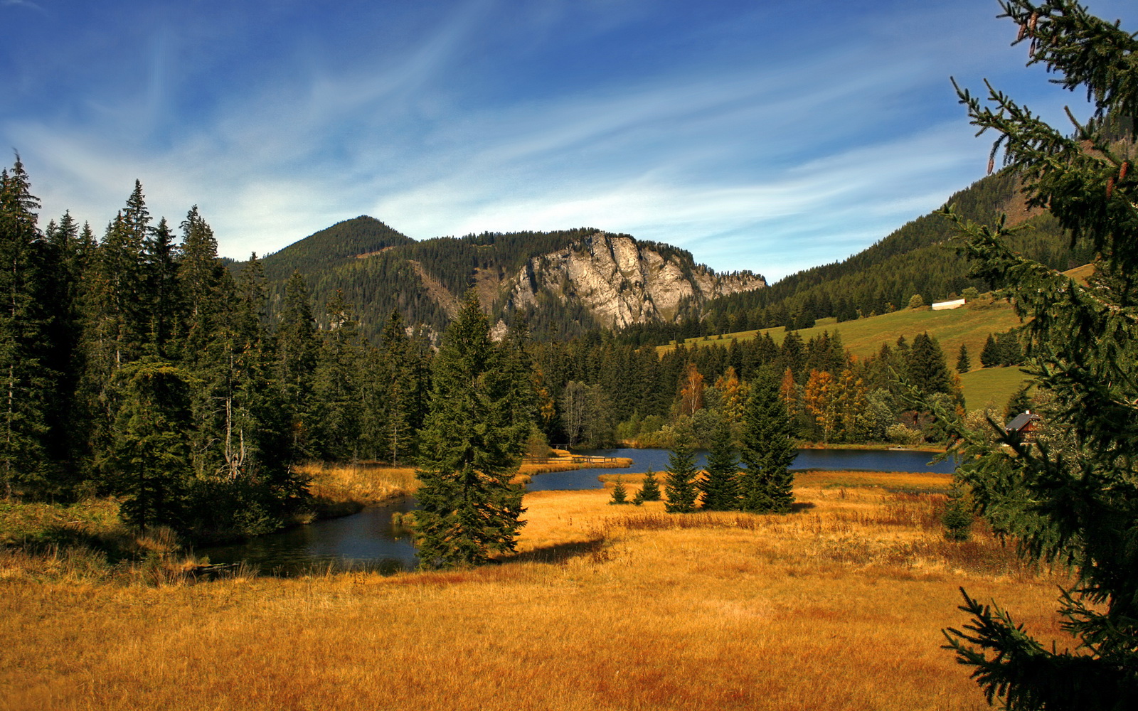 九游网页版官网-【比赛偏门战术】以守为攻的精彩演绎，令人震撼！
