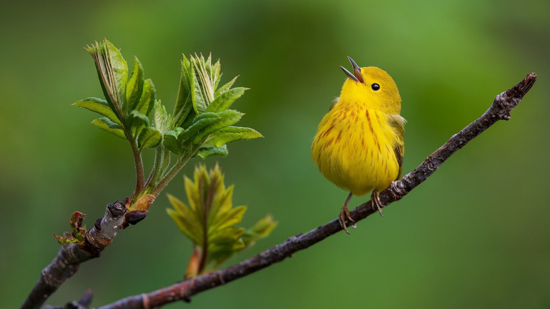 中超冬季转会期引援策略趋于理性,中超联赛转会